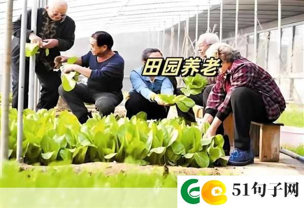 开心养老院官方版来袭