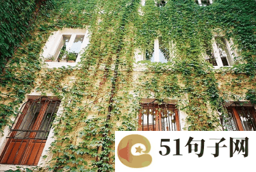 病女网名四个字重口味 在白天数星星 
