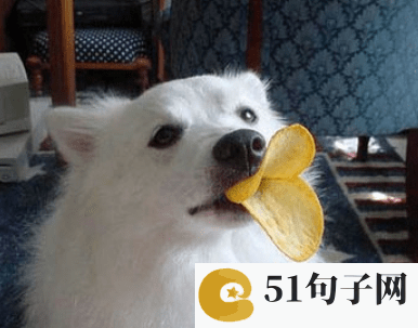 王者荣耀好听高冷的名字 