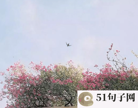 闺蜜网名四个人、度娘VS谷嫂 