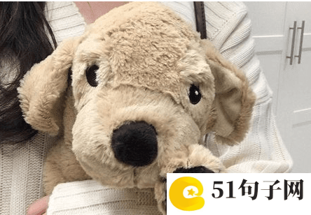 6个字的战队网名 