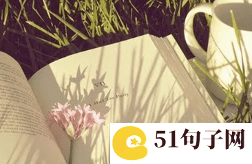 自带仙气的网名五个字 单身情歌● 