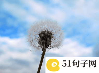 公会名字简单霸气三个字