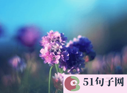 兄弟网名3人霸气三个字、动感超人 