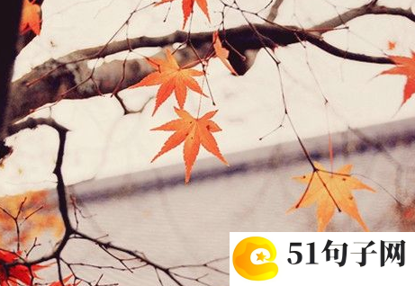 8个字恶搞网名 