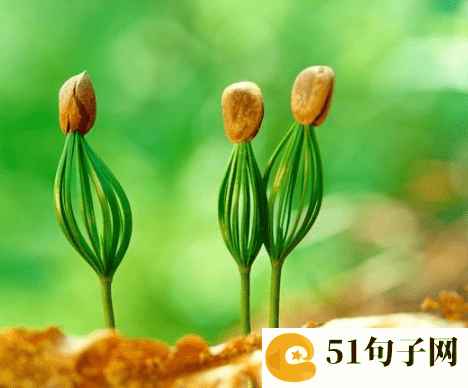5个字情侣名诗意唯美 