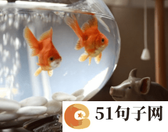 2019年个性网名两个字_莉亚 