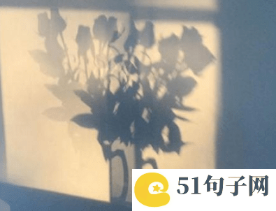 cf战队名字 &nbsp;月缘辉时 