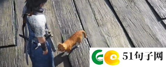 燕云十六声神仙渡猫咪在哪