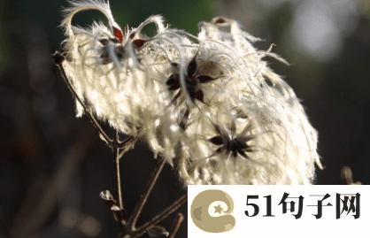 难过的网名两个字_几丝酸楚 