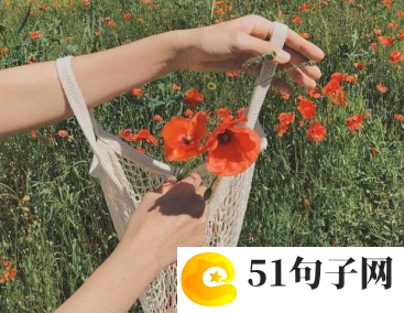 可爱萌萌哒学生情侣网名 