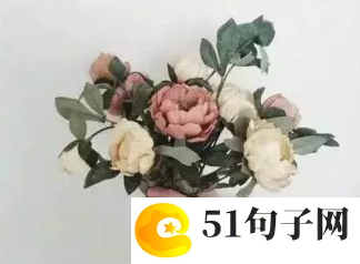 诗意淡雅的网名2字女 