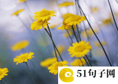 4兄弟网名、&nbsp;〆待我把 