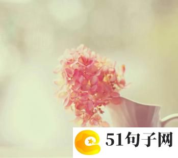 宝妈群名字叫什么好_青衫泪 