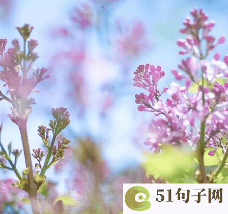 网名8个字的内涵 