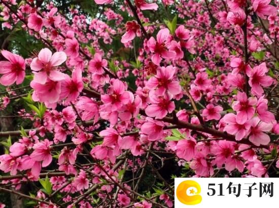 干净单纯的网名 勇敢面对『切ㄟ#; 