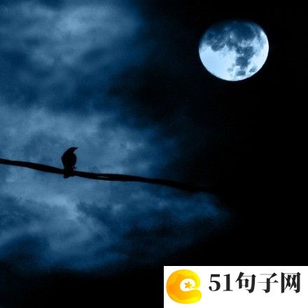 唯美浪漫的网名有哪些、净跃冥晨 