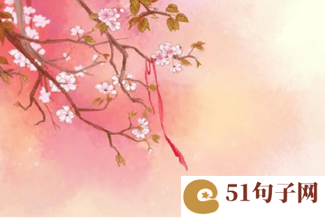 有意思的网名昵称 