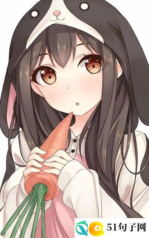 手机壁纸资源