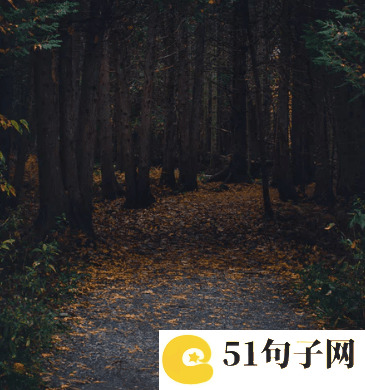 天涯明月刀女角色名字 
