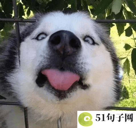 八个字霸气网名设计 