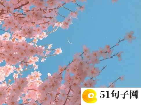 悲伤英文网名 眼泪透着微笑︶ㄣ 