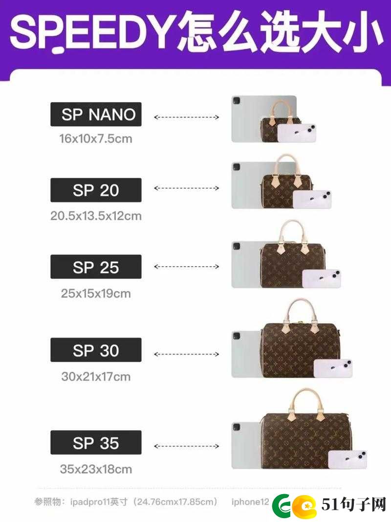 欧洲 LV 尺码大的独特魅力与时尚呈现