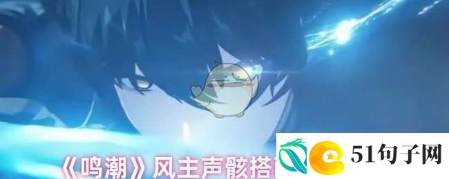 鸣潮风主声骸怎么搭配