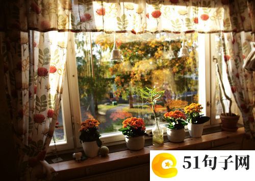 阳光快乐的网名、【长留最冷白子画】 
