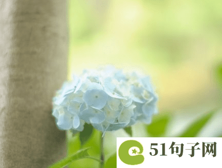 正能量网名女的经典 