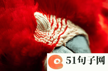 2020最火4字网名_宫樱兮 