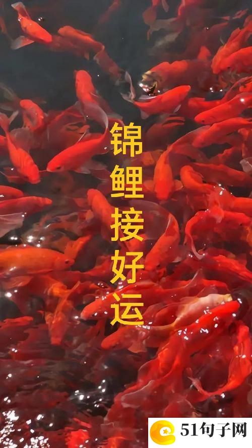 可爱女生qq名字萌萌哒最新_簡單の愛 