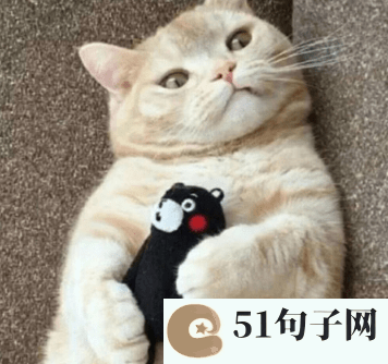微信网名2021最火爆女 捂着耳朵静静 