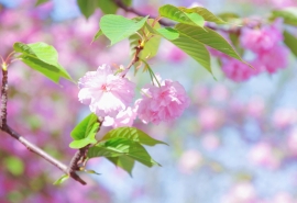 闺蜜网名四个字 唯美 