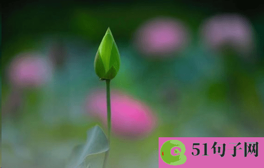 网红昵称男霸气 Trister（旧情 