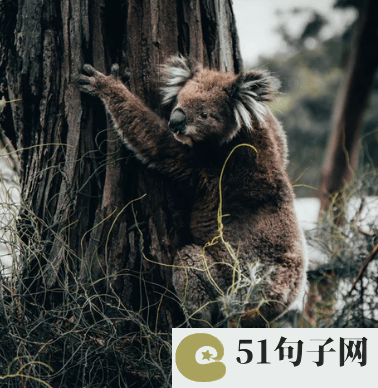 表示安静的网名、情壹動萬劫生。 