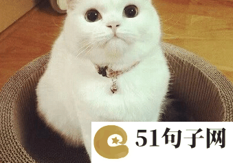 阳光一点的女生网名 连排日程 