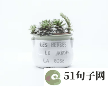 2019最火的励志网名 