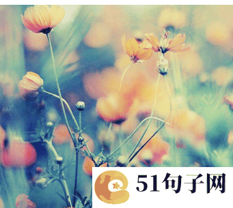 打动人心的爱情语录、︶ㄣ吥离幵 