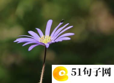 甜到爆的情侣网名四字脱单人群的福利 