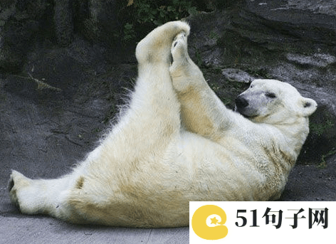 经典七个字没有符号的名字 孤独伴我依旧傲 