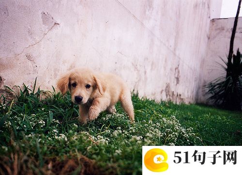 简单的意境心情四字网名 