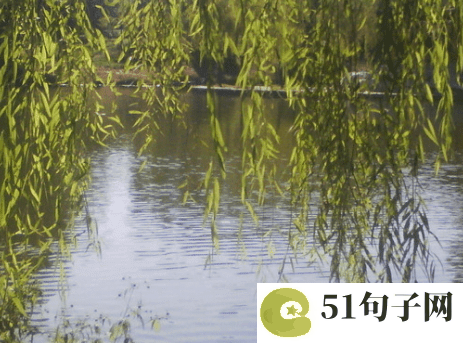 唯美好听2个字女生网名 苏辛 