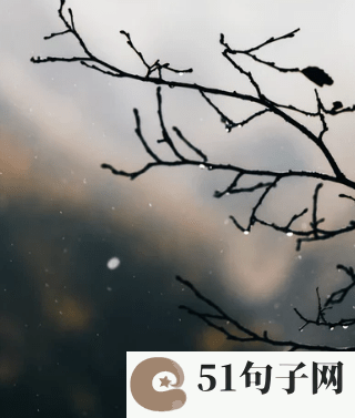 四字唯美情侣网名 