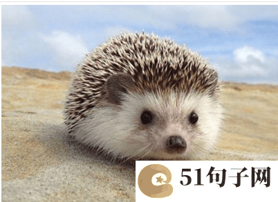 带冉字的网名要萌 