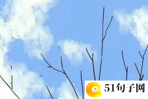 干净诗意名字 ミ动景﹏流动の羙 