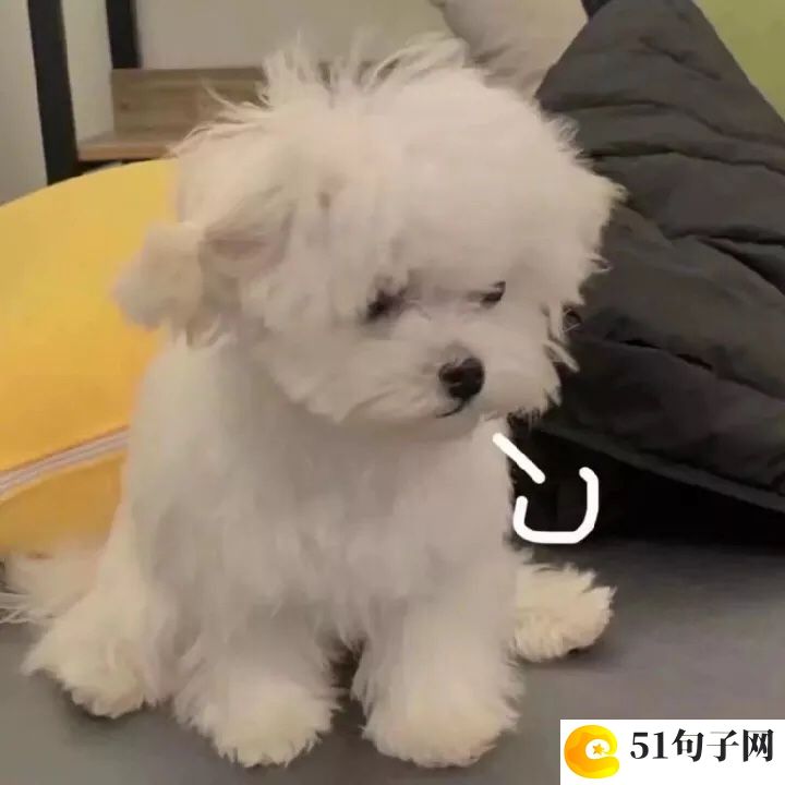 很温柔的微信名字 