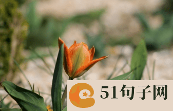 网名励志奋斗霸气的 紫藤花 