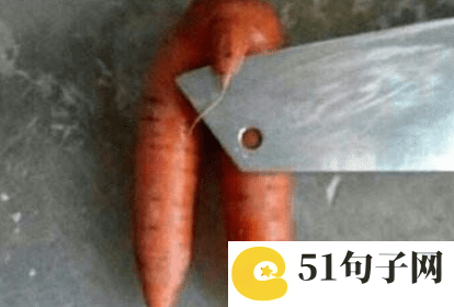 四个字情侣网名一男一女 爱我别走|厌我请离 