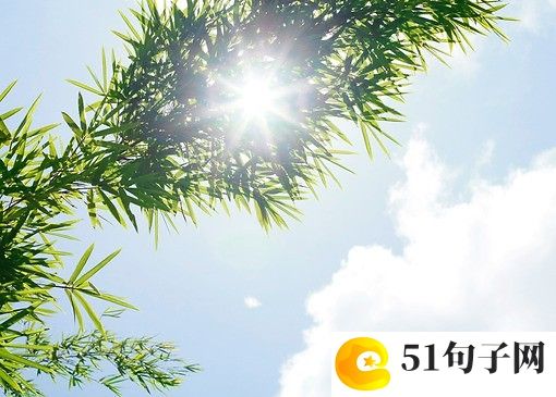 男单身微信网名四个字 